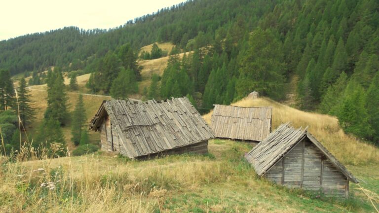 Photo skup domów