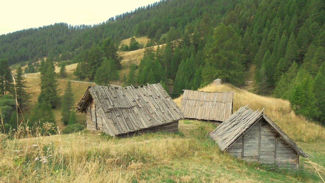 Photo skup domów